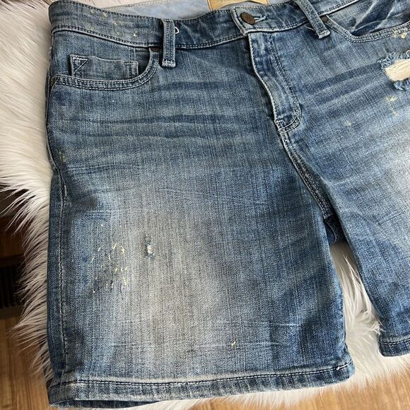 Anthropologie Holding Horses Painted Gable Boyfriend Shorts - Picture 4 of 13